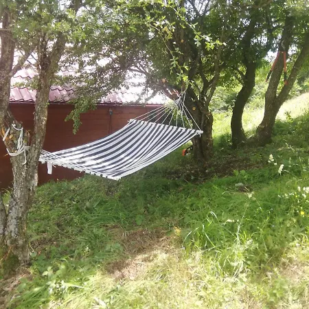 Prenociste Farma Zlatni Bor, Zavait Foca *