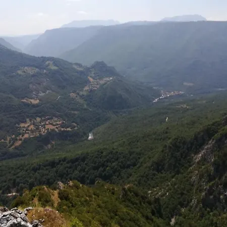 Prenociste Farma Zlatni Bor, Zavait Foca